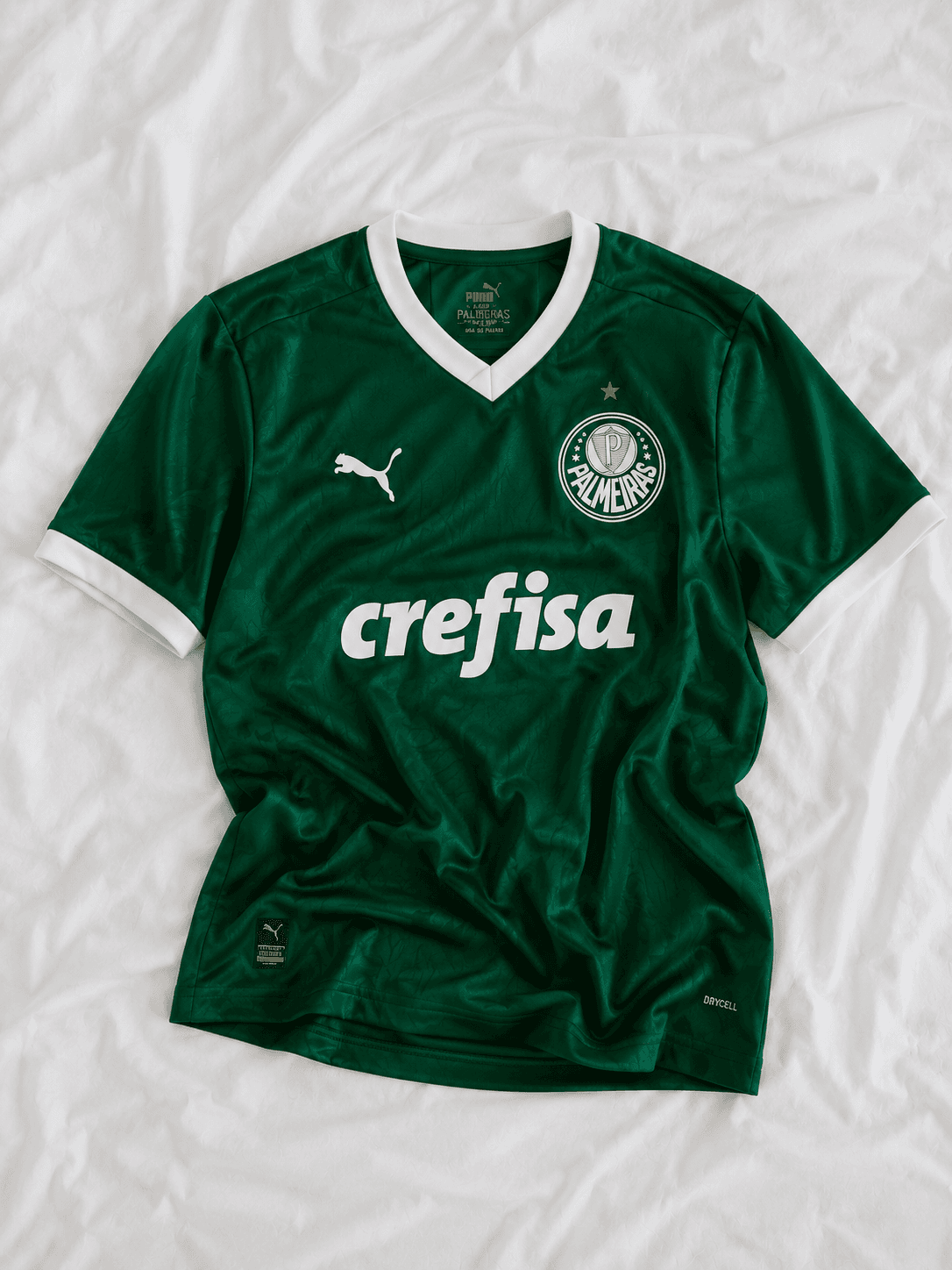 Camisa Palmeiras Home 24/25